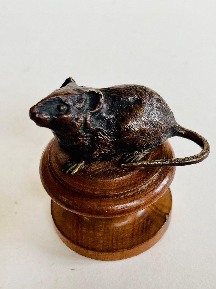 Souris Bronze De Vienne -photo-4